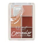 Dodo Girl Flawless Face Concealer | Finesse Tunisie